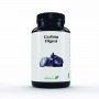 carbon digest 815mg 60perl